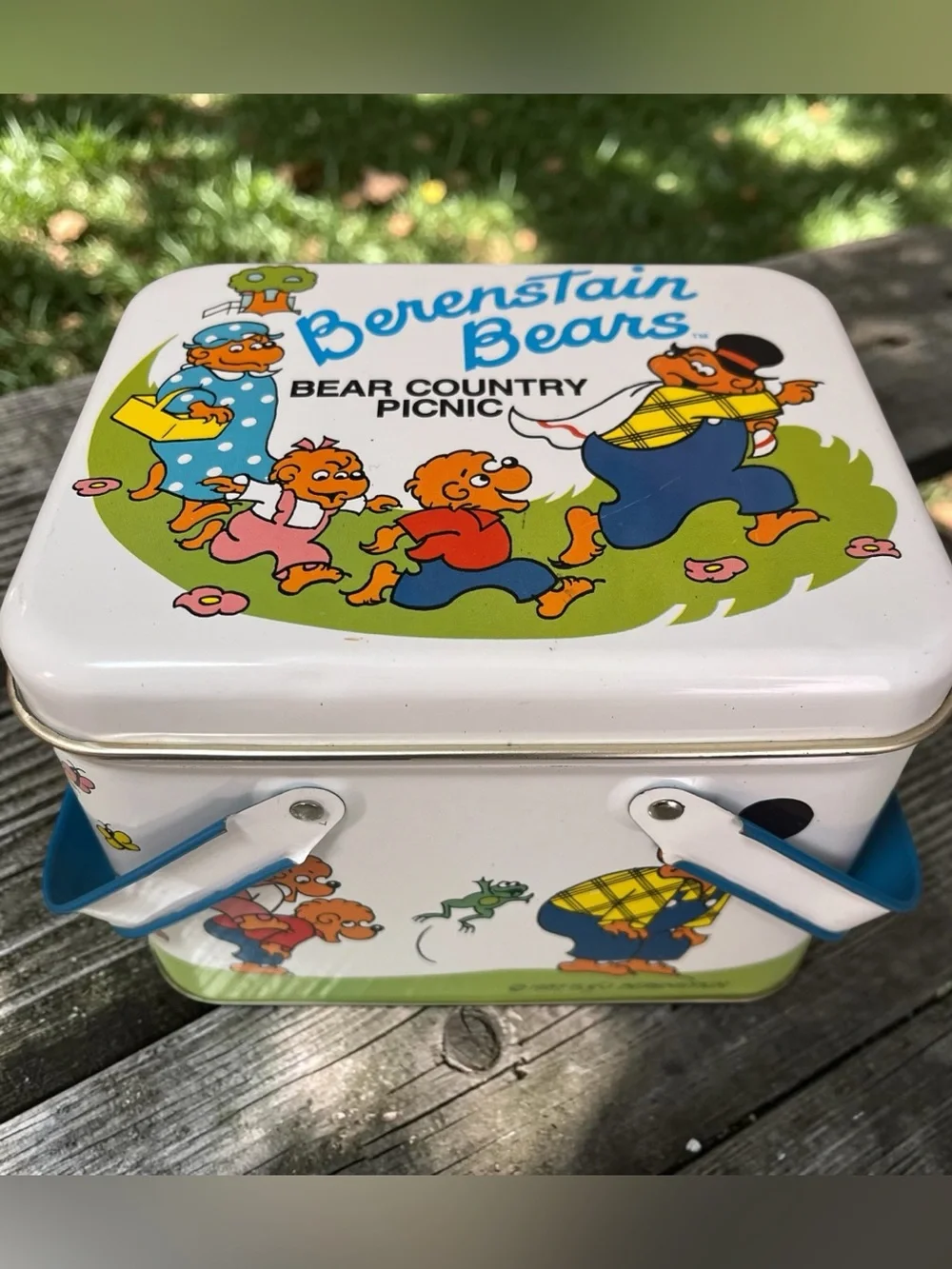 Vintage 1987 Berenstain Bears - Bear Country Picnic Tin